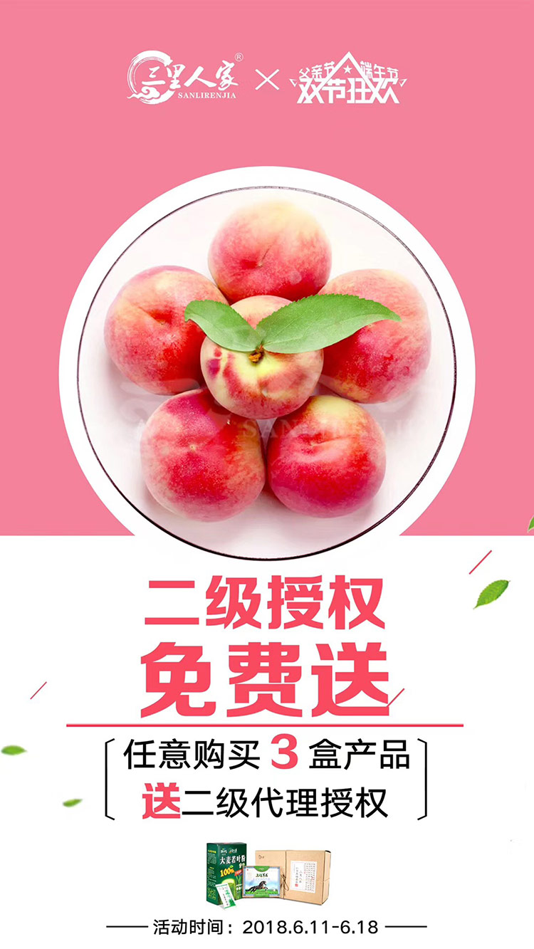 公司介绍