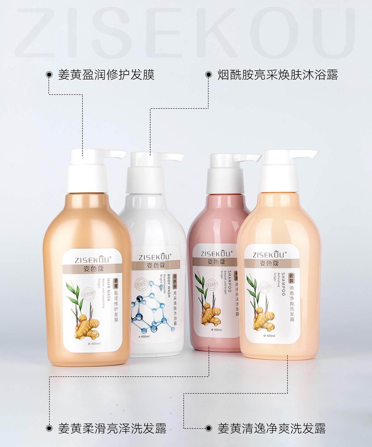 公司介绍